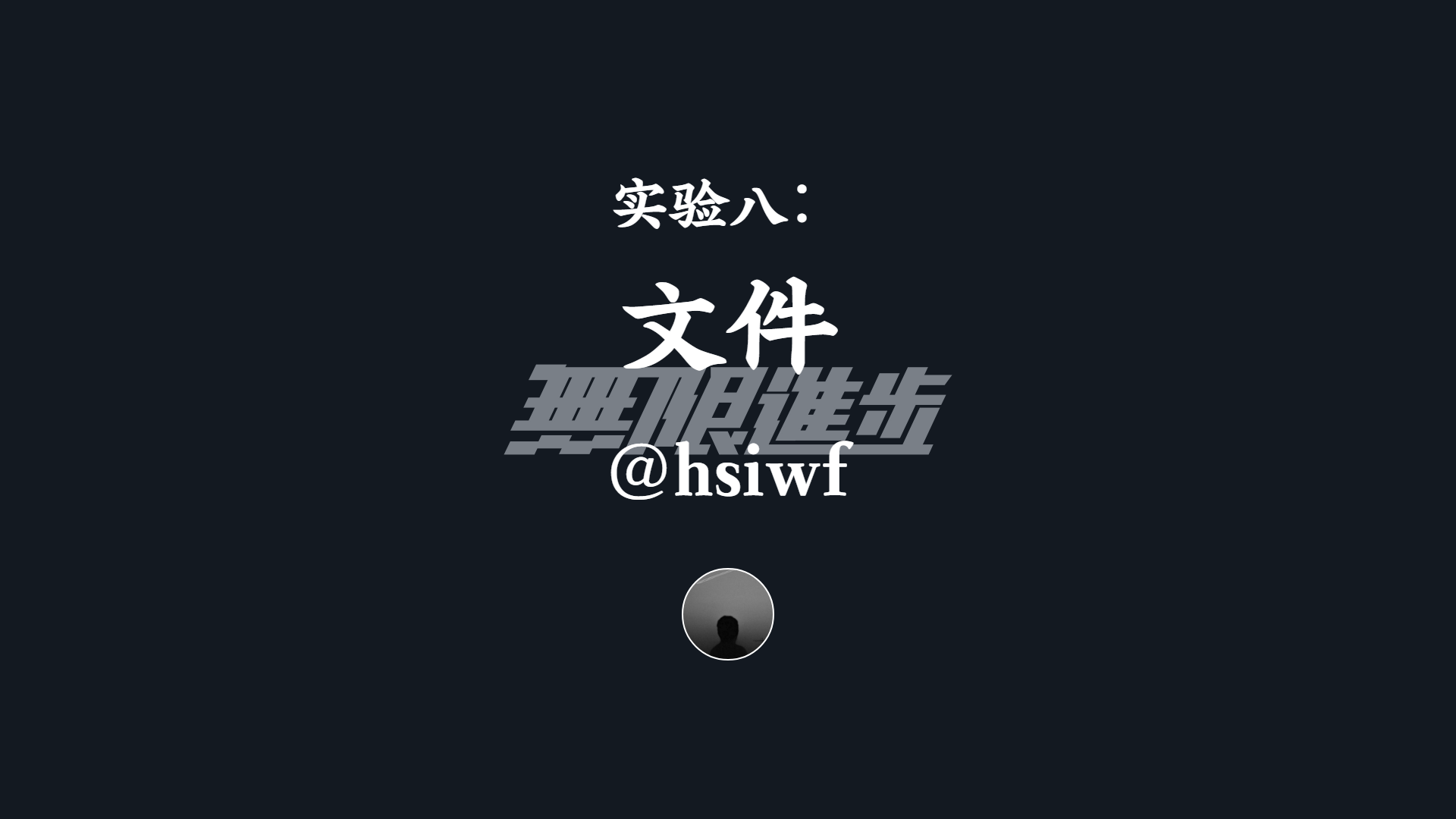 实验八：文件